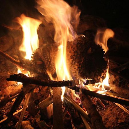 Big Mang Den Homestay Kon Von Kla Dış mekan fotoğraf