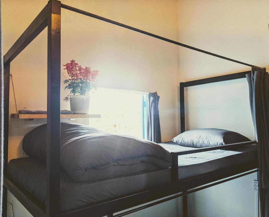 Big Mang Den Homestay Kon Von Kla Dış mekan fotoğraf
